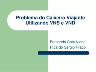 problema do caixeiro viajante utilizando vns e vnd