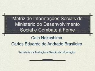 matriz de informa es socia i s do minist rio do desenvolvimento social e combate fome