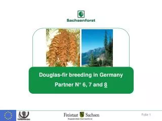 Introduction history of Douglas-fir to Germany