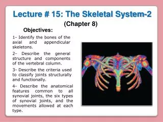 Lecture # 15: The Skeletal System-2