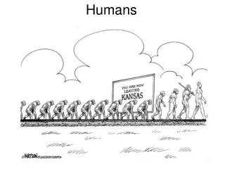 Humans