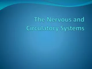 The Nervous and Circulatory Systems