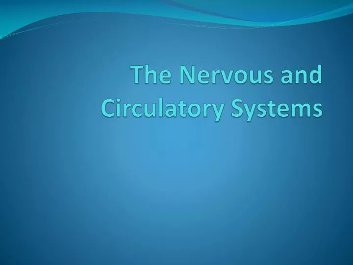 the nervous and circulatory systems