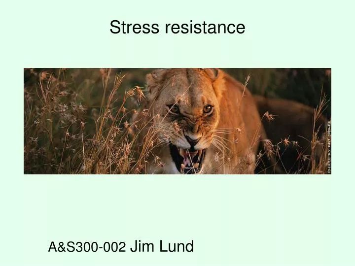 stress resistance