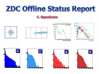 ZDC Offline Status Report