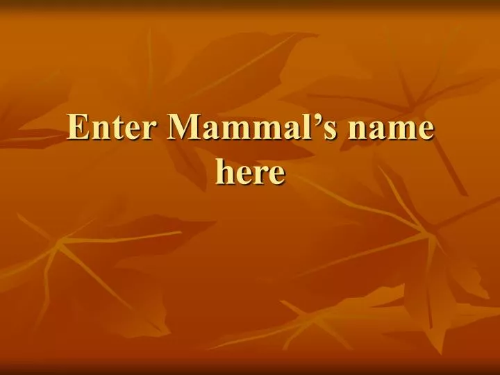 enter mammal s name here