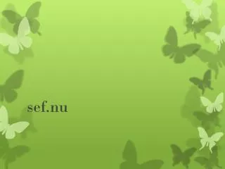 sef nu