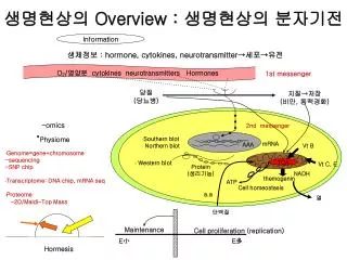 ????? Overview : ????? ????