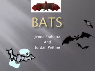 Bats