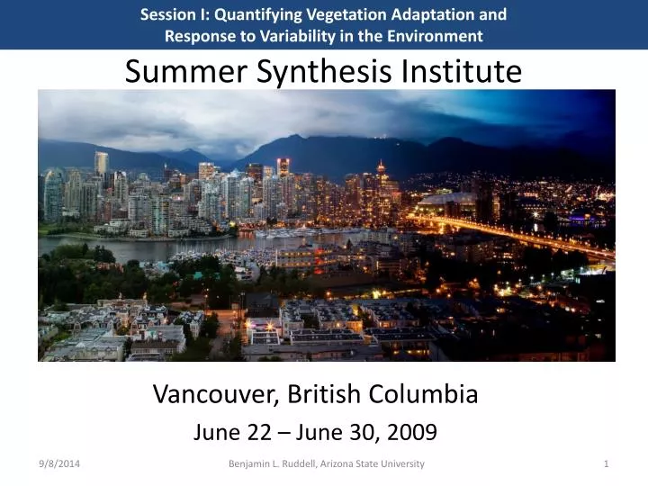 summer synthesis institute