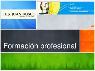 formaci n profesional