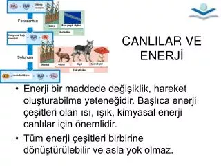 canlilar ve enerj