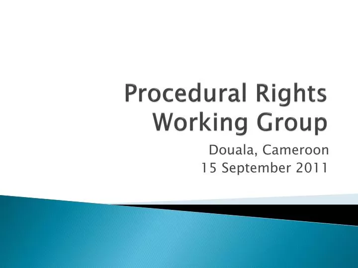 procedural rights w orking group