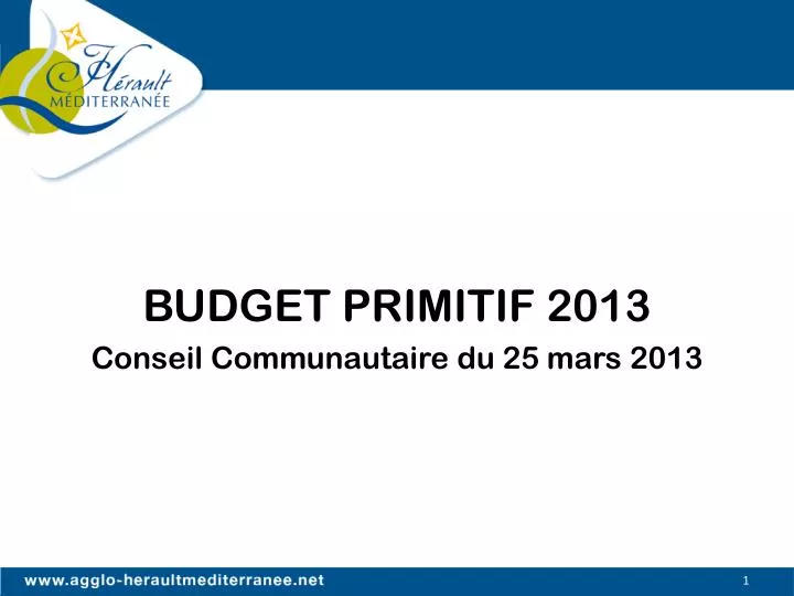 budget primitif 2013 conseil communautaire du 25 mars 2013