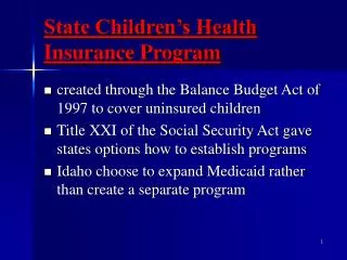 state children s health insurance program