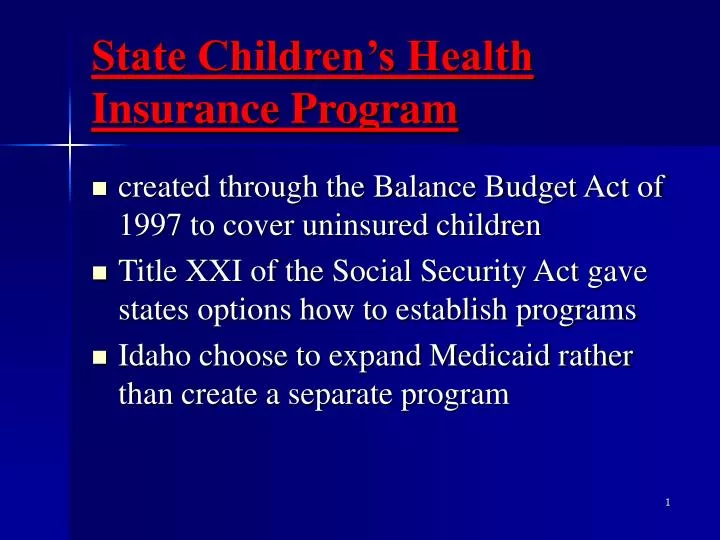 state children s health insurance program