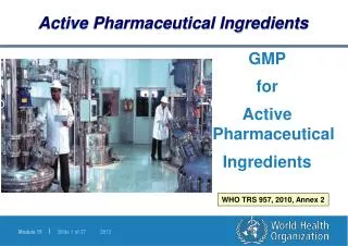 GMP for Active Pharmaceutical Ingredients