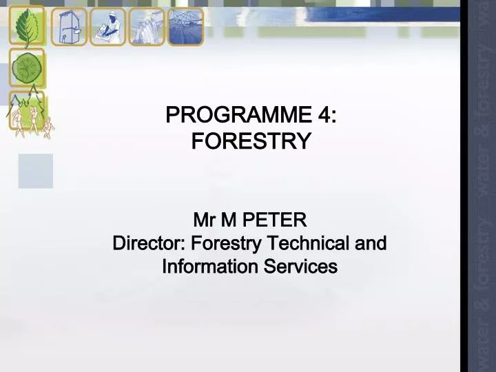 programme 4 forestry