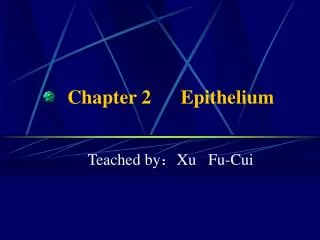 Chapter 2 Epithelium