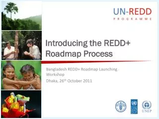 Introducing the REDD+ Roadmap Process