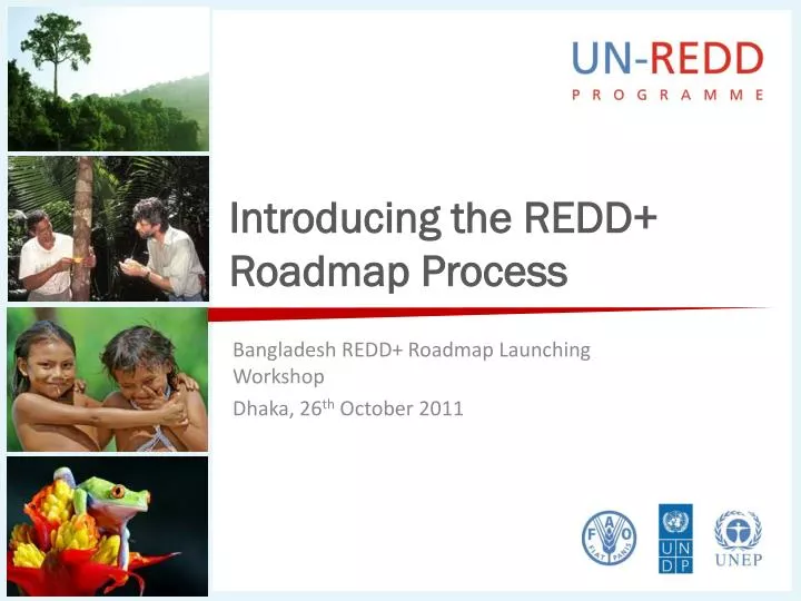 introducing the redd roadmap process