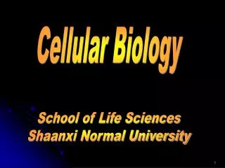 Cellular Biology