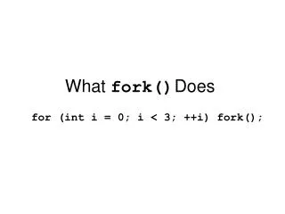 What fork() Does
