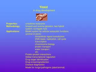 Yeast in drug development