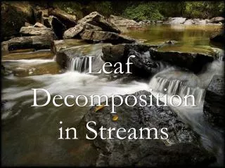 Leaf Decomposition in Streams