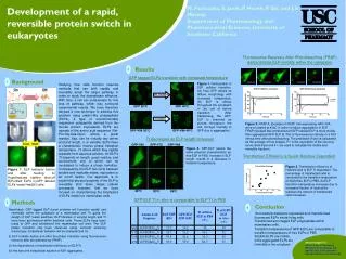 GFP-V96 20 o C