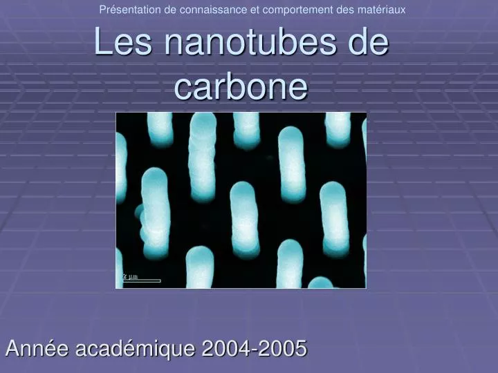 les nanotubes de carbone