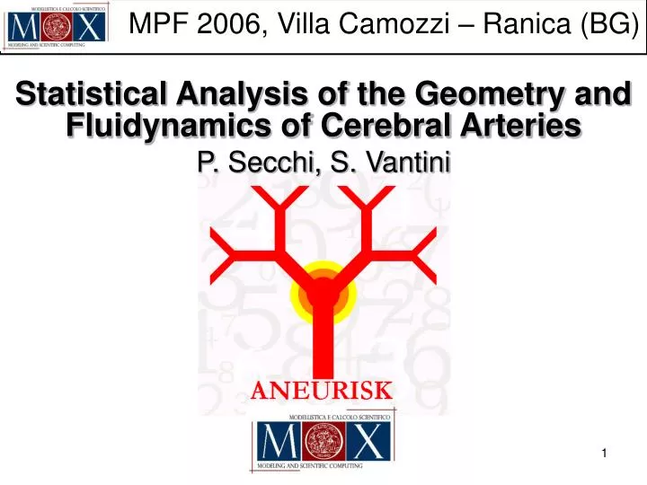 statistical analysis of the geometry and fluidynamics of cerebral arteries