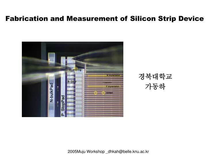 fabrication and measurement of silicon strip device