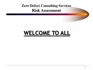 Zero Defect Consulting Services Risk Assessment