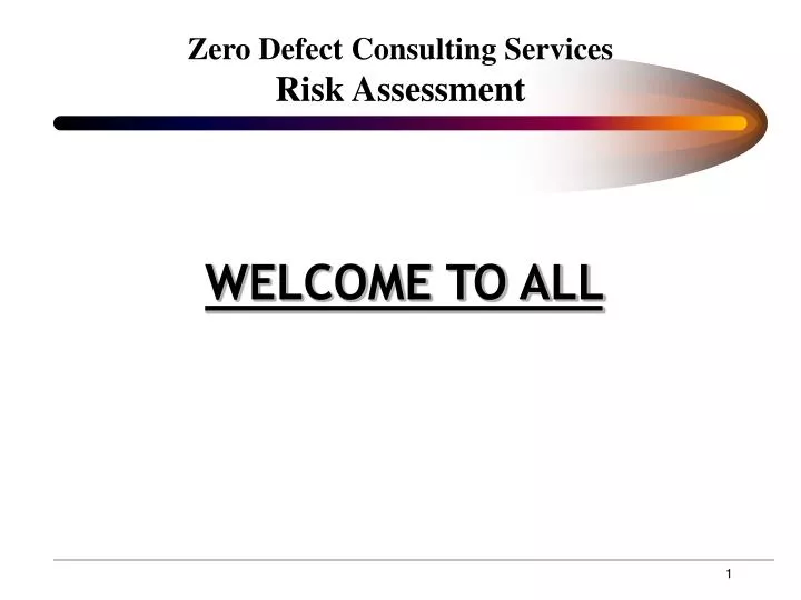 zero defect consulting services risk assessment