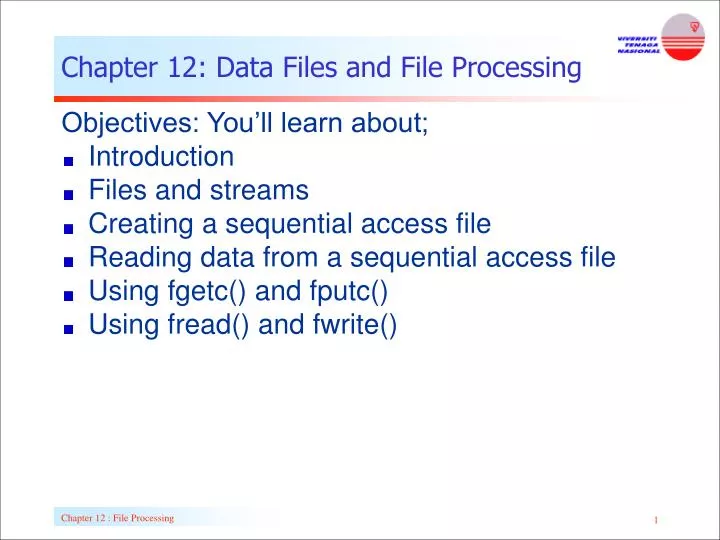 chapter 12 data files and file processing