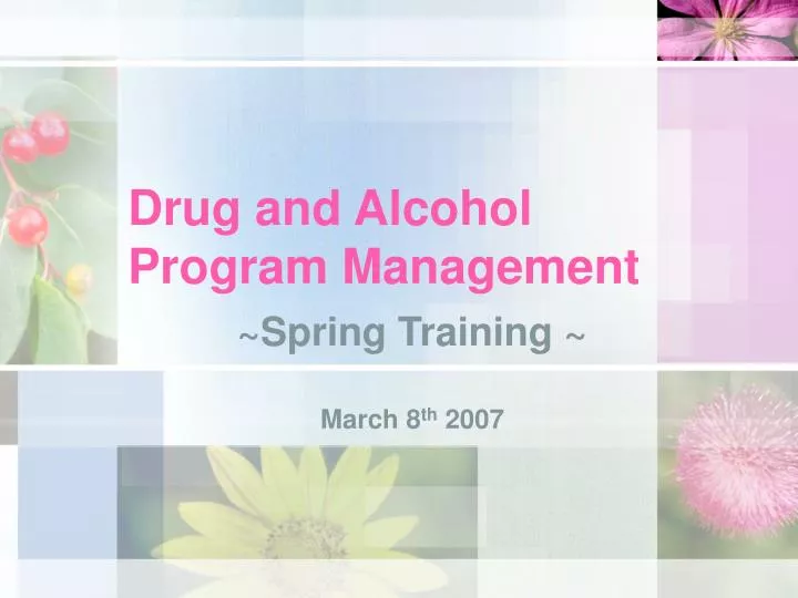 drug and alcohol program management