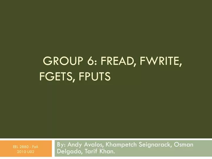 group 6 fread fwrite fgets fputs