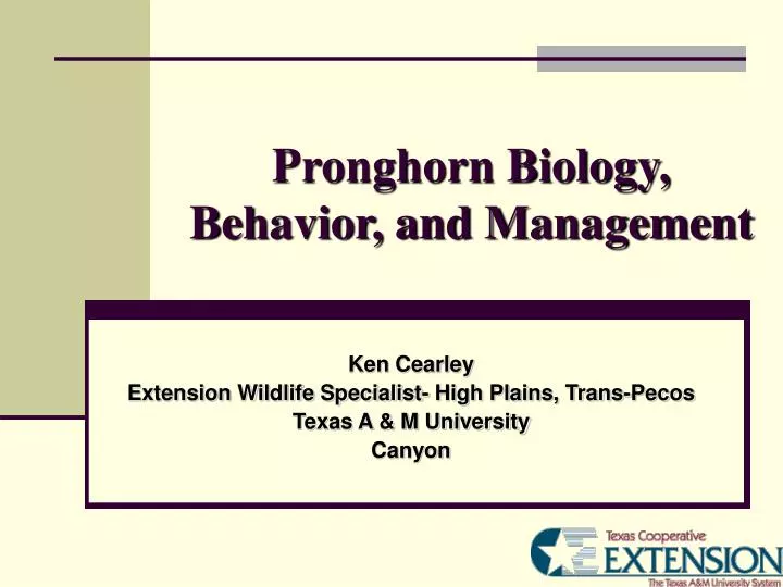 pronghorn biology behavior and management