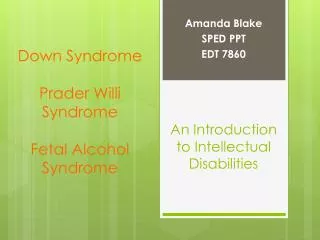 An Introduction to Intellectual Disabilities