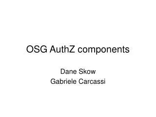 OSG AuthZ components