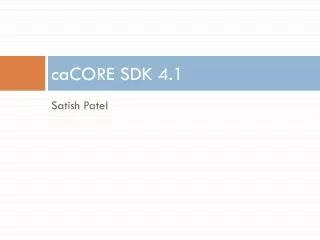caCORE SDK 4.1