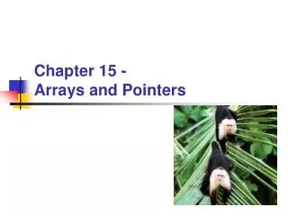 Chapter 15 - Arrays and Pointers