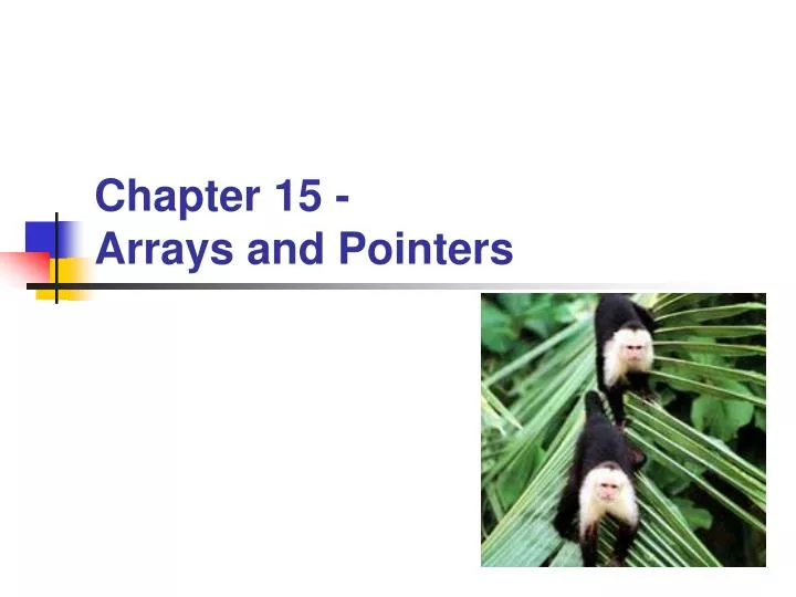 chapter 15 arrays and pointers