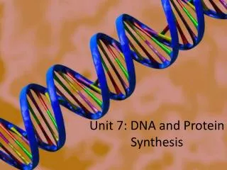 Unit 7: DNA and Protein Synthesis