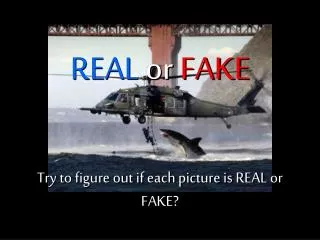 Try to figure out if each picture is REAL or FAKE?