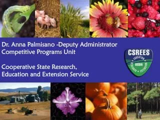 Dr. Anna Palmisano -Deputy Administrator Competitive Programs Unit Cooperative State Research,