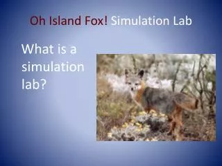 Oh Island Fox! Simulation Lab