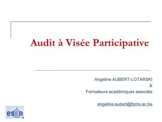 audit vis e participative