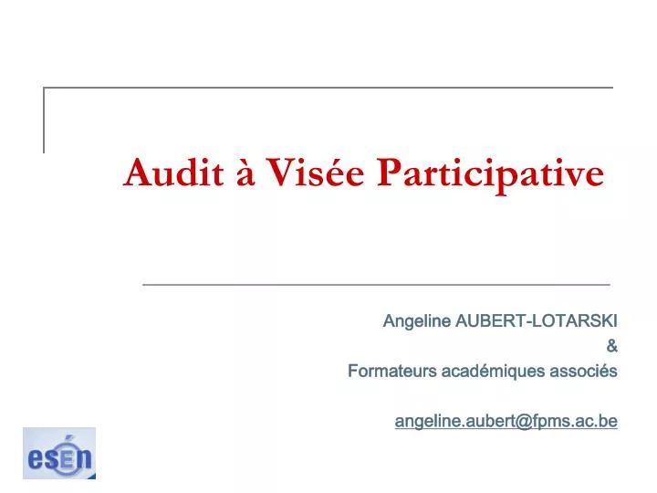 audit vis e participative